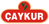 Чай Çaykur